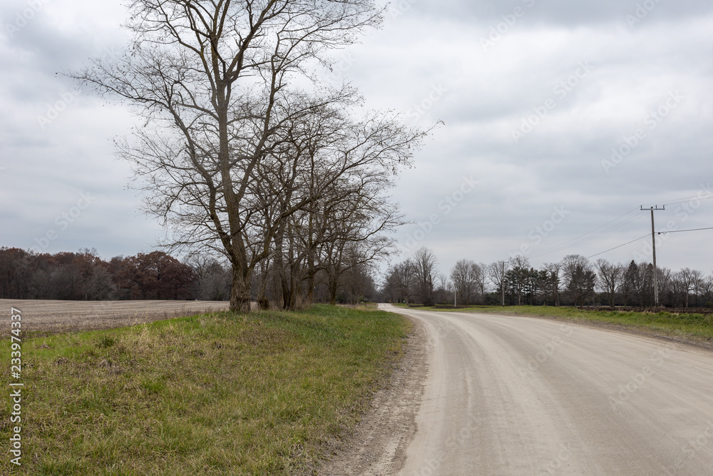 Fototapeta premium Dirt road with bare trees