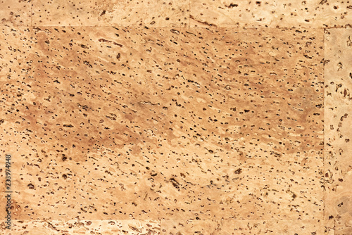 Natural cork texture