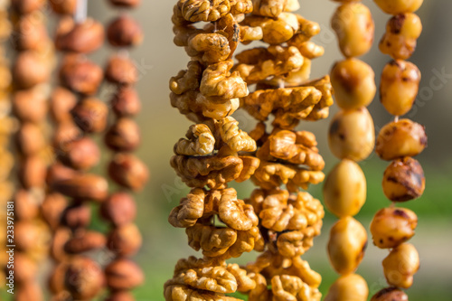 Walnuts halves on long thread - preparation blank for making churchkhela sweet dessert homemade candy