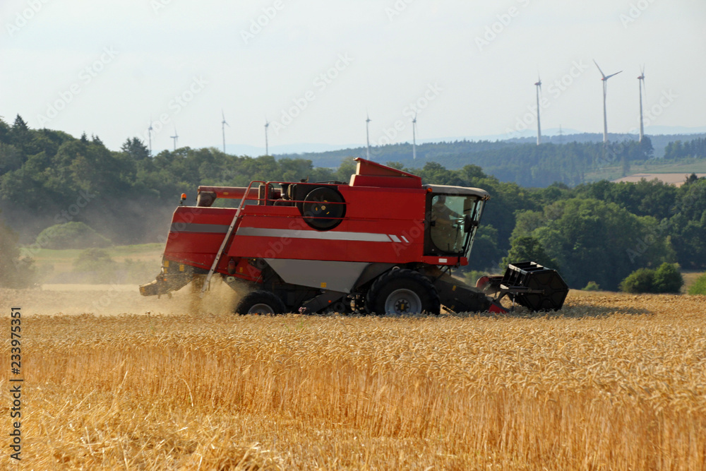Fototapeta premium Mähdrescher bei der Ernte auf dem Weizenfeld