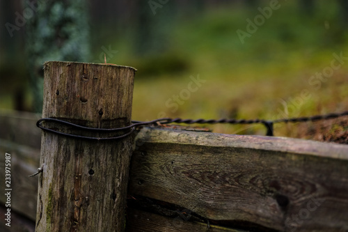 Wallpaper Mural old wooden trenshes in Latvia. reconstruction of first world war. Lozmetejkalns Torontodigital.ca