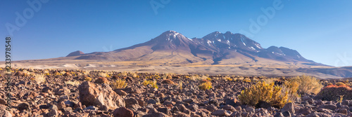 Atacama desert, Chile, Andes, South America. Beautiful view and landscape. © marabelo