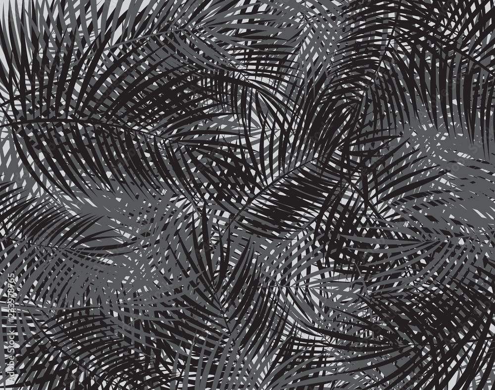 Black and White Palm Leaf Vector Background Illustration