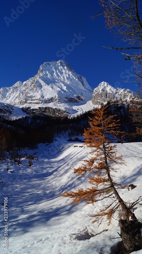 il monte photo