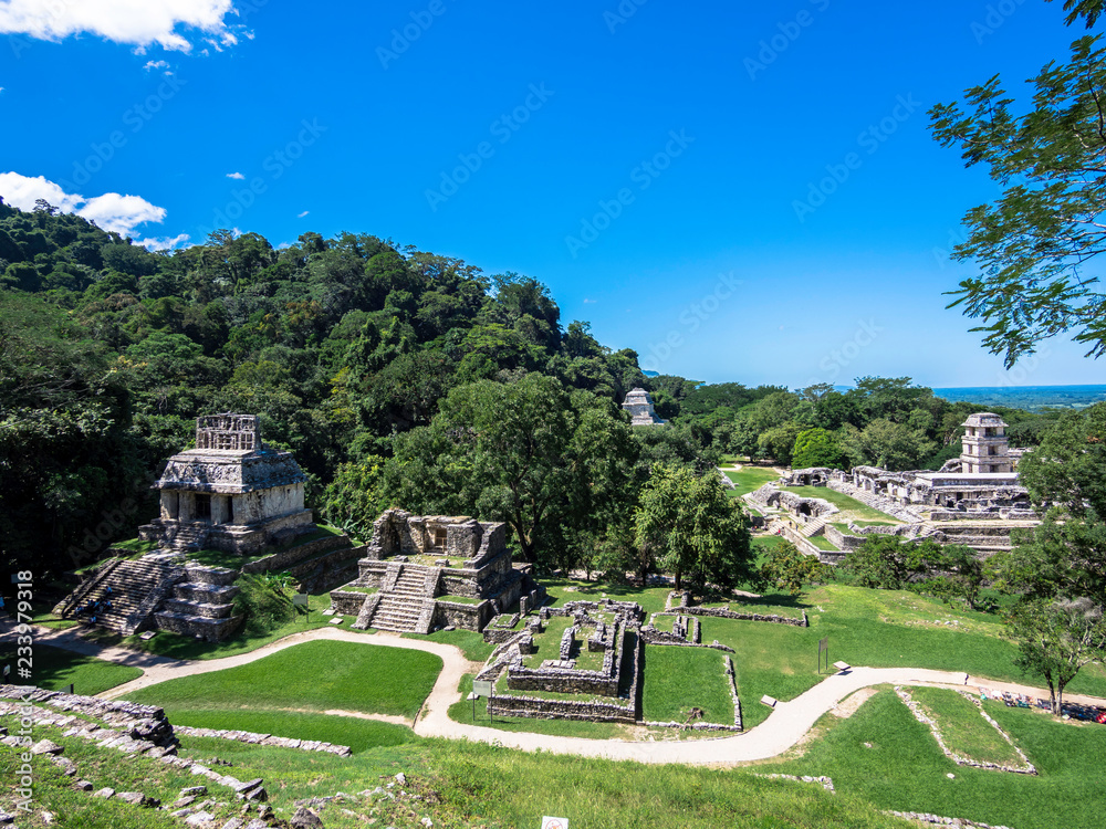 Panoramic scenery at Mayan ruins Palenque in Chiapas, Mexico
