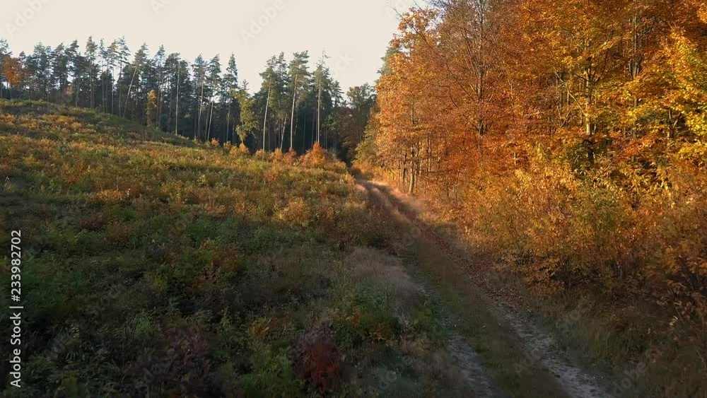 4k aerial with flight over road in autumn forest. 3840x2160, 30fps. 4k aerial with flight over road in autumn forest. 3840x2160, 30fps.