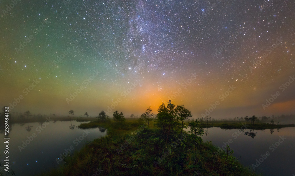 Swamp in the night Swamp in the night