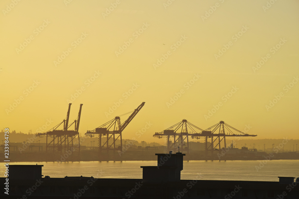 Fototapeta premium Gantry Cranes Sunrise Seattle