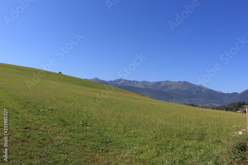 Prato