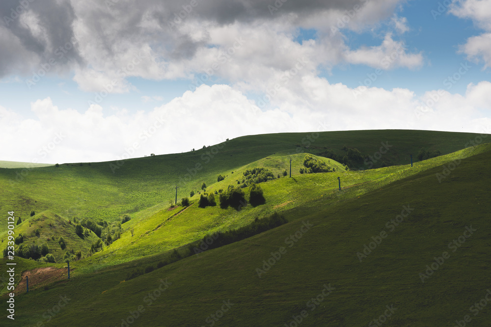 Sunny Summer Landscape with Hill and Meadow with trees