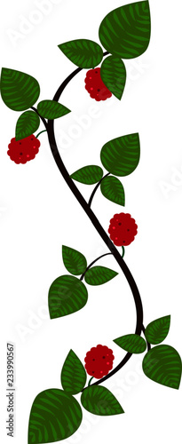 Folk art Raspberry vine scroll