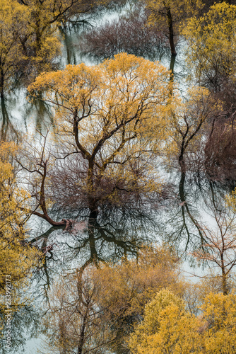 Trees reflected in the waters of the Skadar Lake