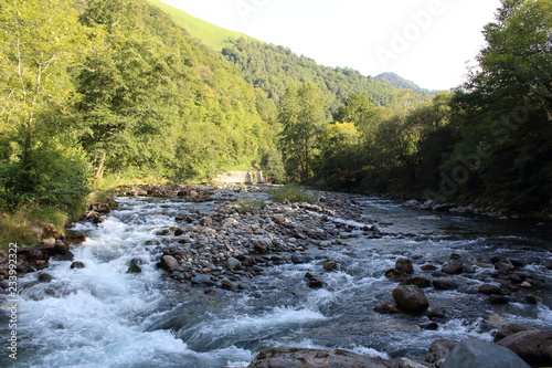 Torrente