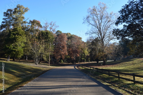 Park road in Avent Park in Oxford Mississippi