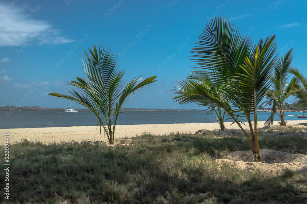 View of palm trees on beach, and boats on water, on the island of Mussulo, Luanda, Angola