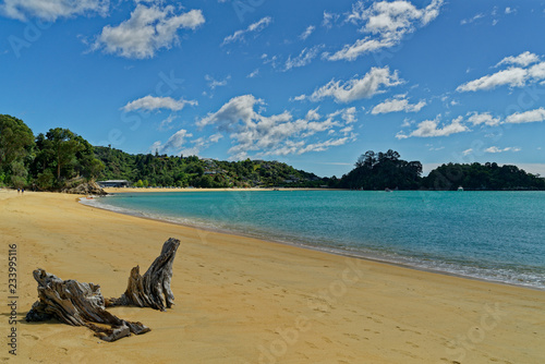 Cuadro en lienzo The beach at Little Kaiteriteri, New Zealand