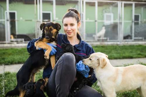 Obraz Młoda kobieta w schronisku dla psów bawi się z psami, wybierając, który z nich adobt.