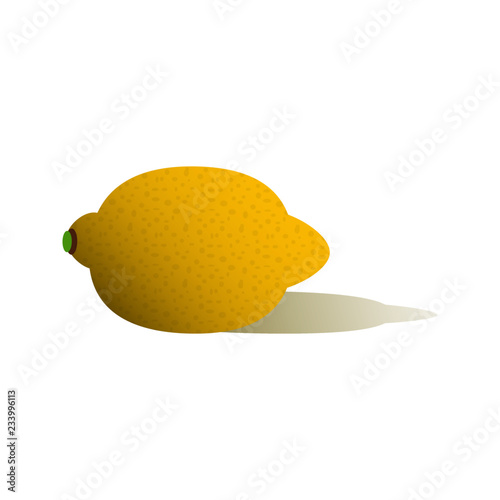 Single lemon with shadow