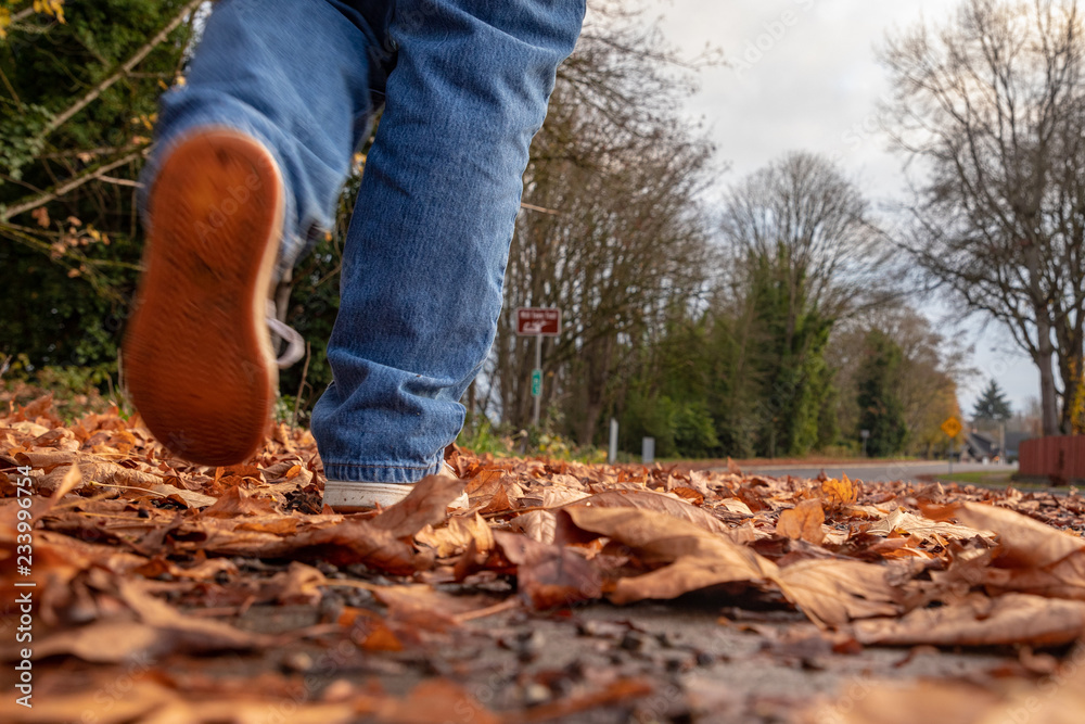 Person Walking Through Fall Leaves Person Walking Through Fall Leaves