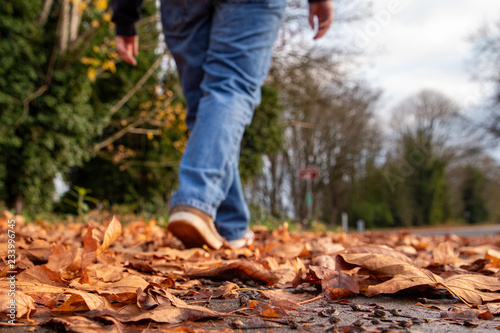Person Walking Through Fall Leaves Foreground in focus, person soft focus