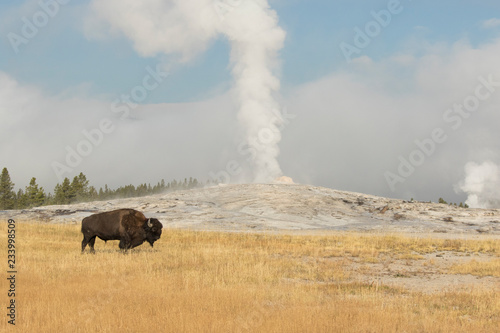 Geothermal Hotspots of Yellowstone National Park