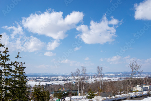 冬の旭山動物園の風景