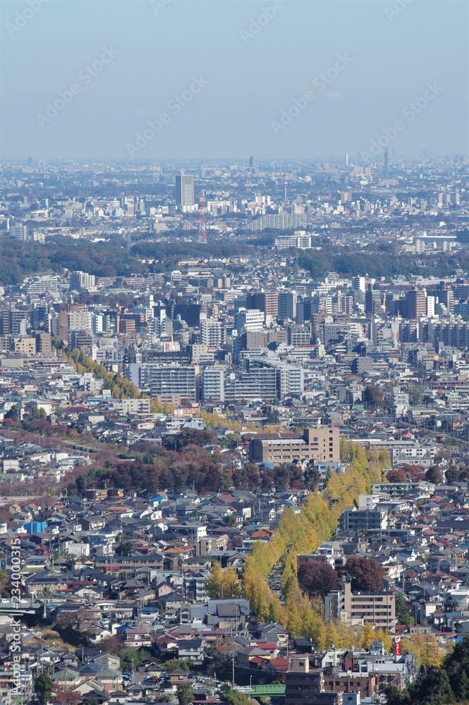 Obraz premium 街を見下ろす