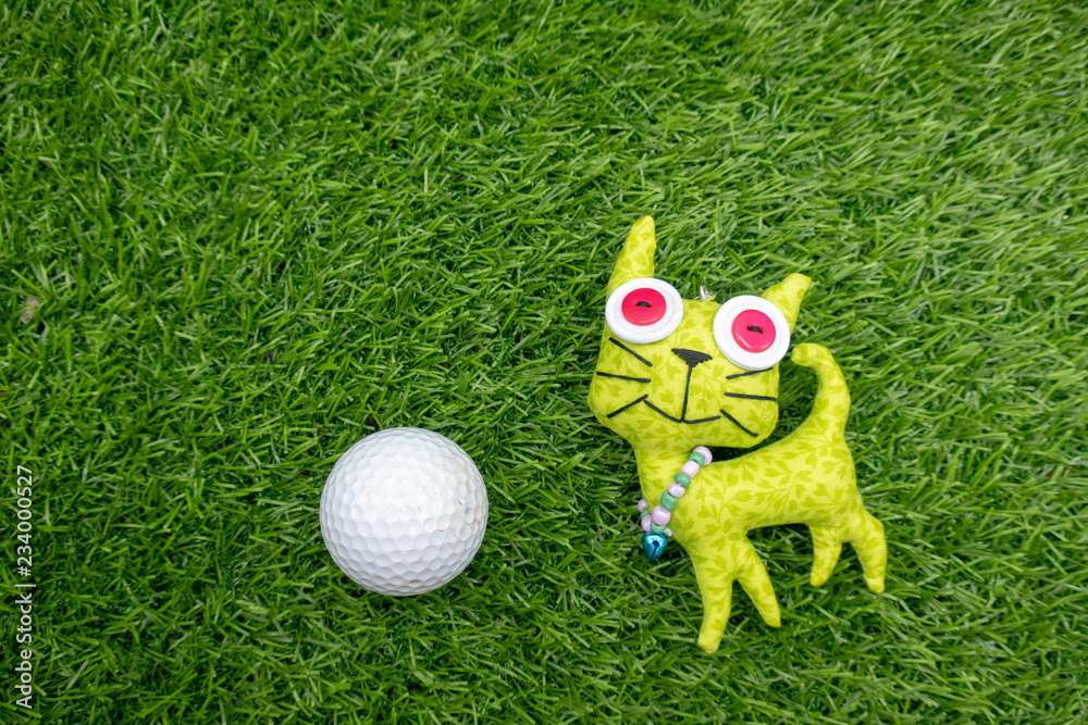 Obraz premium Cat with golf ball on green grass