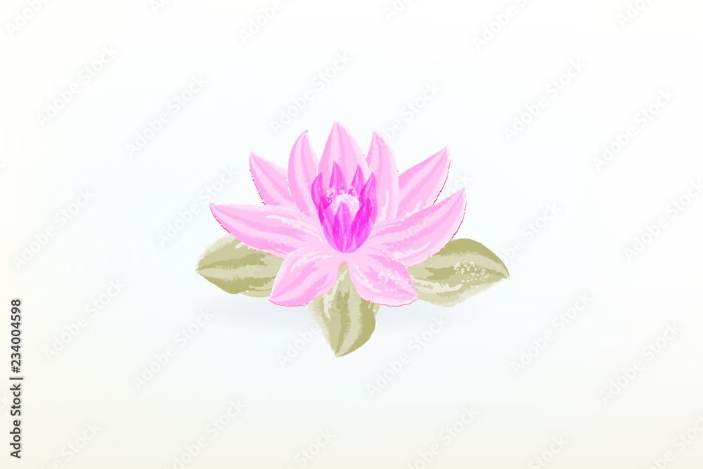 Lotus flower watercolor logo background Lotus flower watercolor logo background