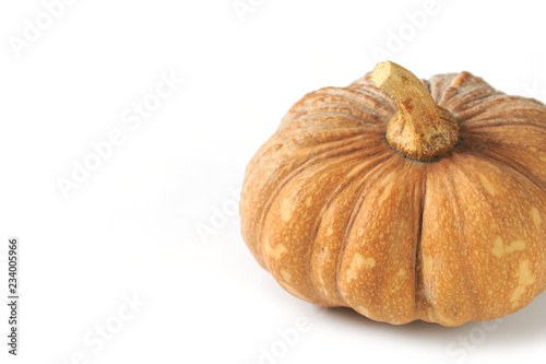 pumpkin on white background.