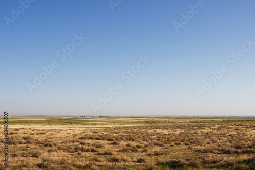 Wide steppes, flat terrain extends to the horizon against a clear blue sky. Dry grass in the meadows in Texas, America