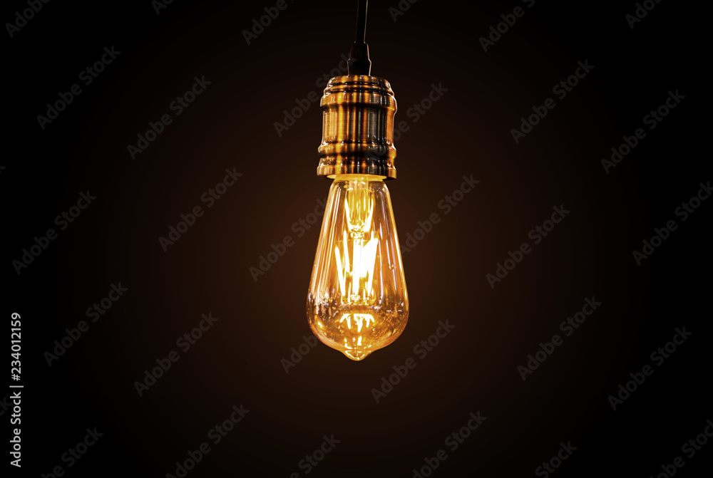 Old and vintage Edison light bulb