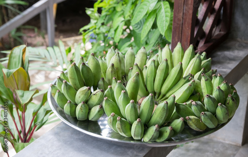 group of fresh green banana