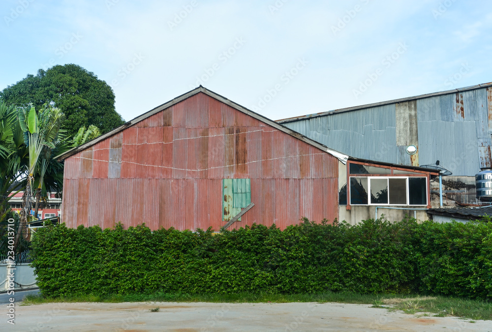 old pink galvanized sheet (zinc sheet) building with green tree bush fence old pink galvanized sheet (zinc sheet) building with green tree bush fence