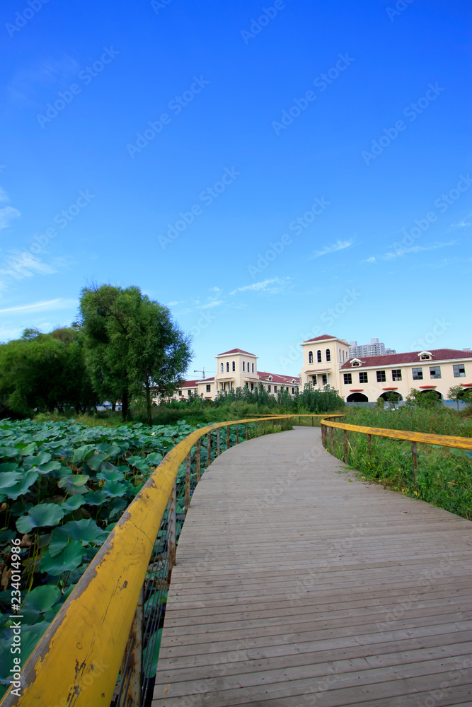 Luannan county city building scenery, China