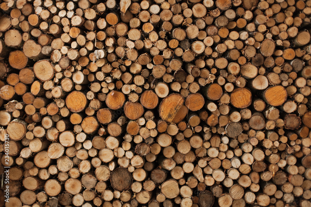 A woodpile of round logs and wood chucks in the countryside.