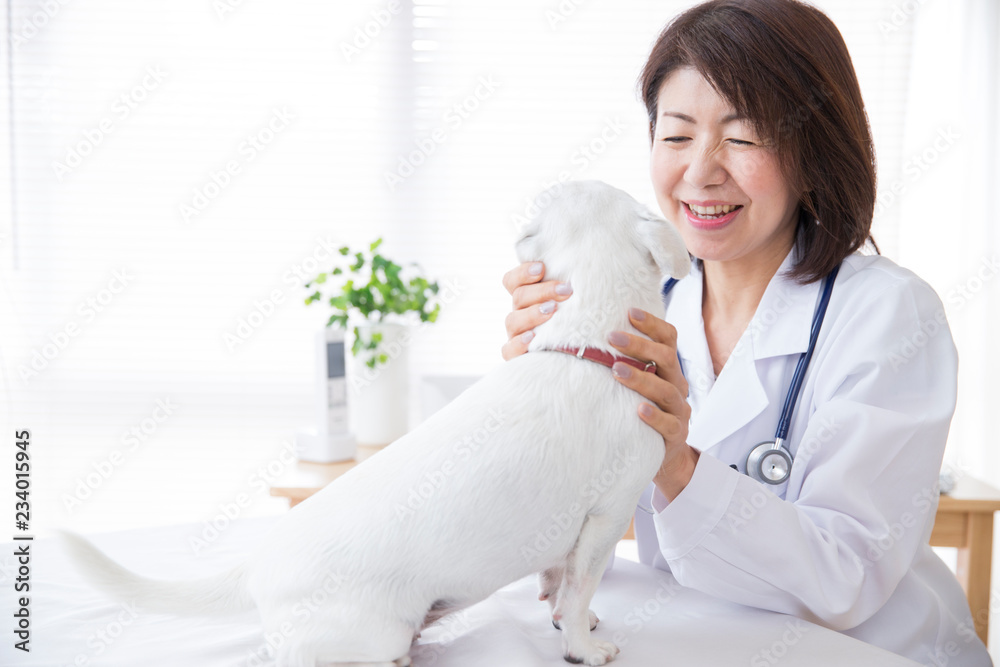診察する獣医 診察する獣医