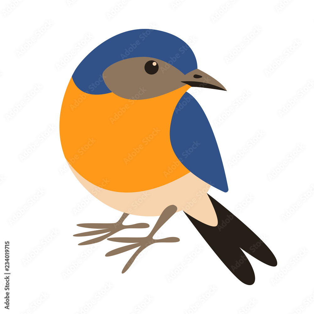 eastern bluebird,flat style, front