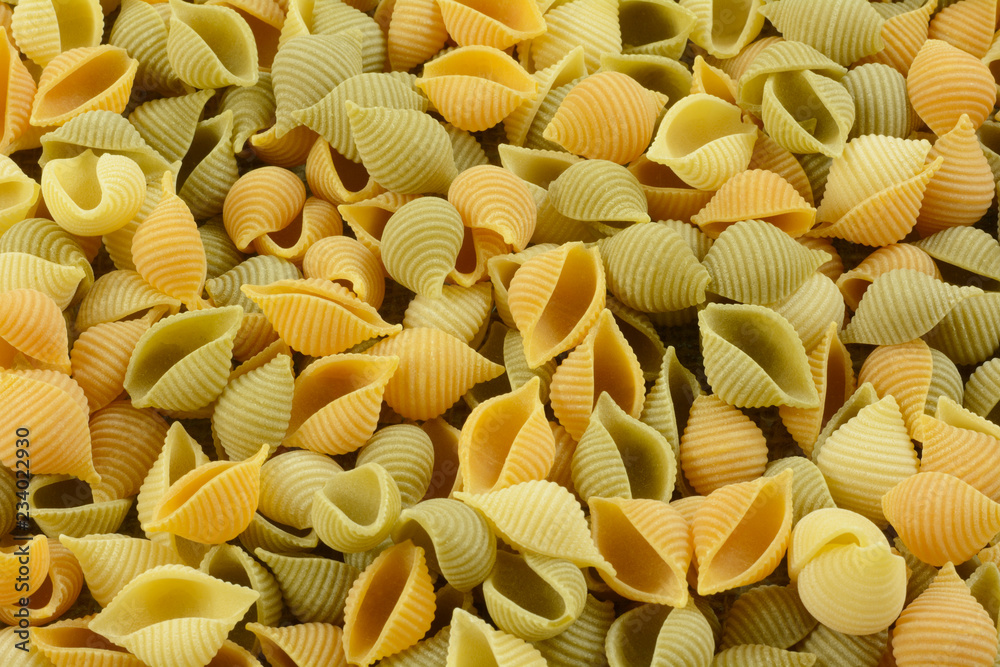 Raw and dry tricolor spinach tomato and wheat conchiglioni vegetable shell pasta Raw and dry tricolor spinach tomato and wheat conchiglioni vegetable shell pasta