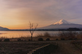 Mount fuji san at lake kawaguchiko in japan, morning sunrise.