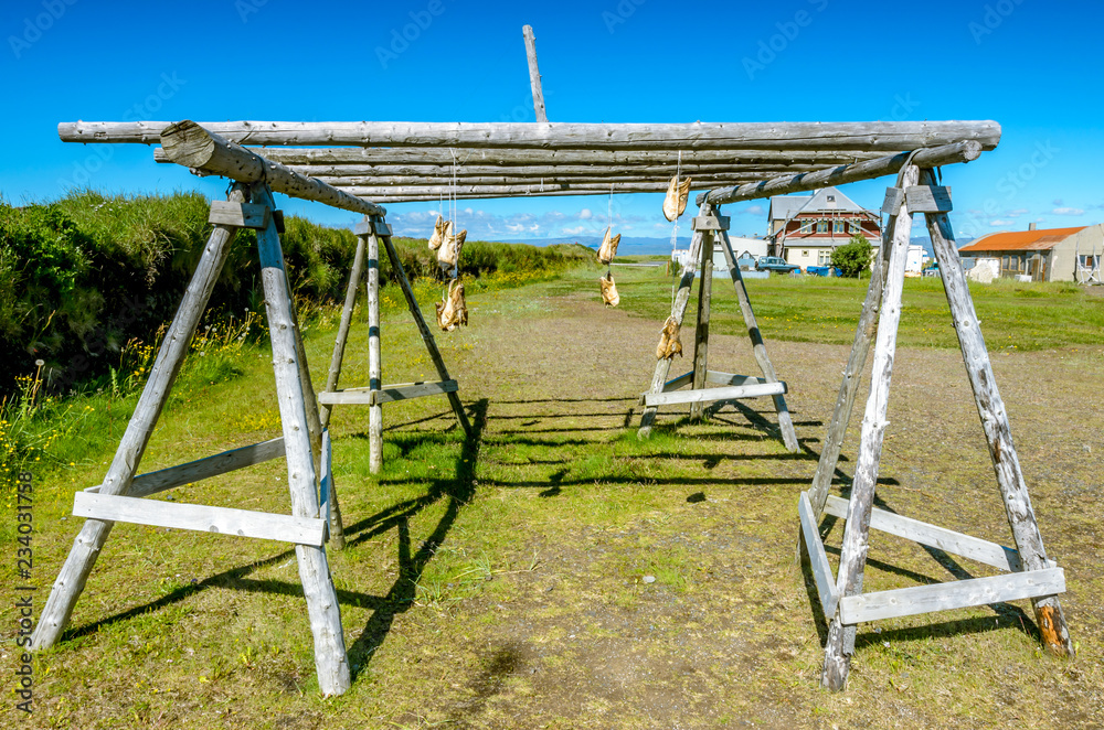 Cod heads hung on a wooden rack in the fishing village of Eyrarbakki in Iceland