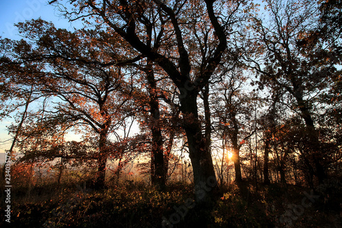 Herbst