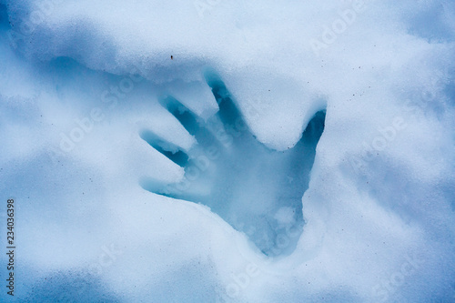 Fotografie Hand print in fresh snow