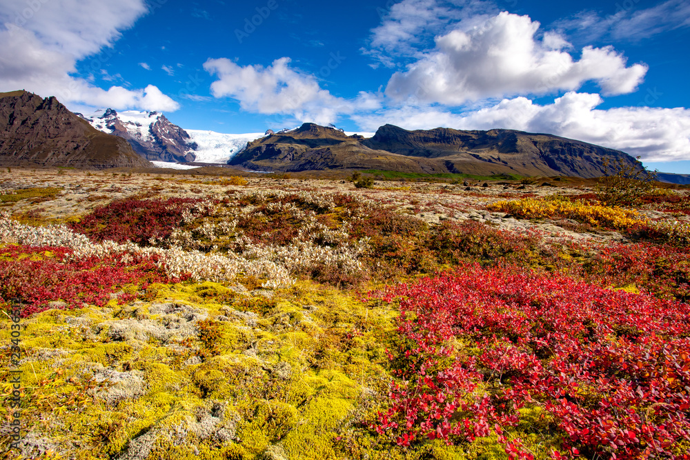 Beautiful blooming mountain landscape with blue sky and clouds. Europe. Iceland