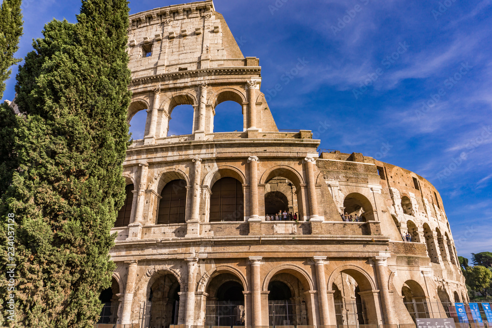 Fototapeta premium Colosseum in Rome, Italy