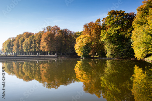 Bäume im Herbst