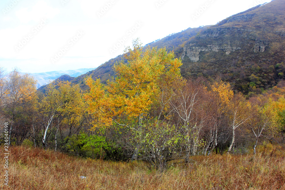 mountain natural scenery