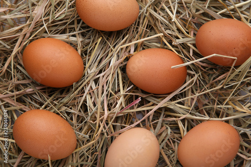 Fresh chicken eggs on a hay background