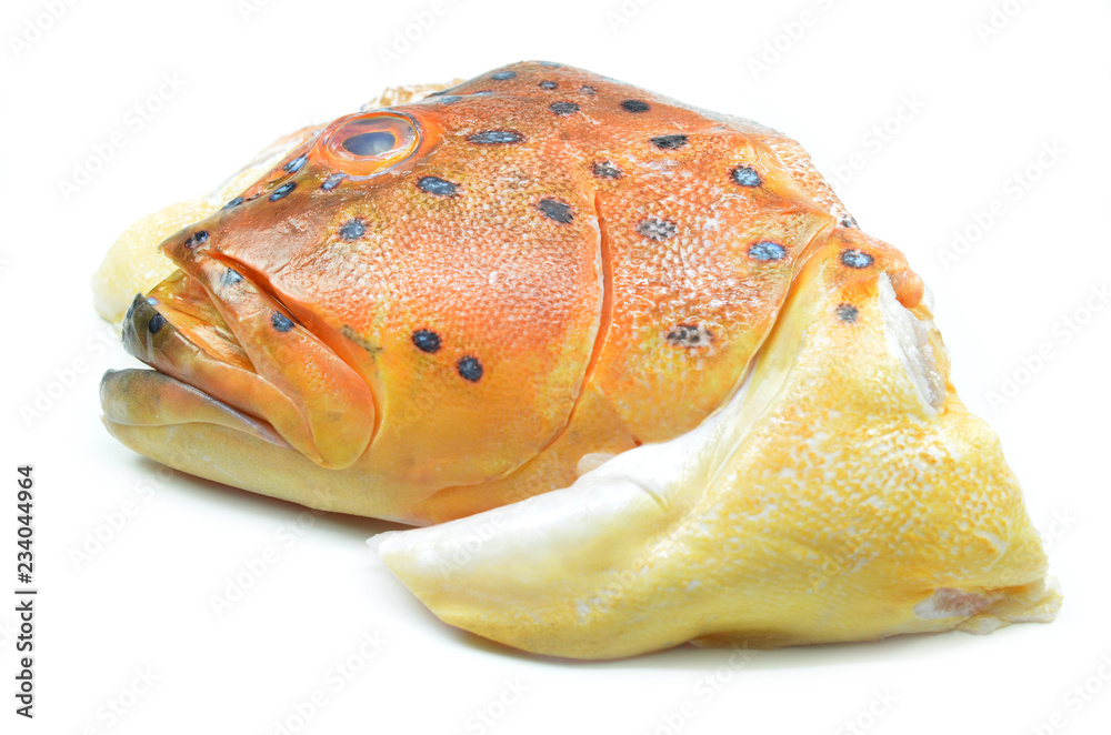 Grouper fish head on white background