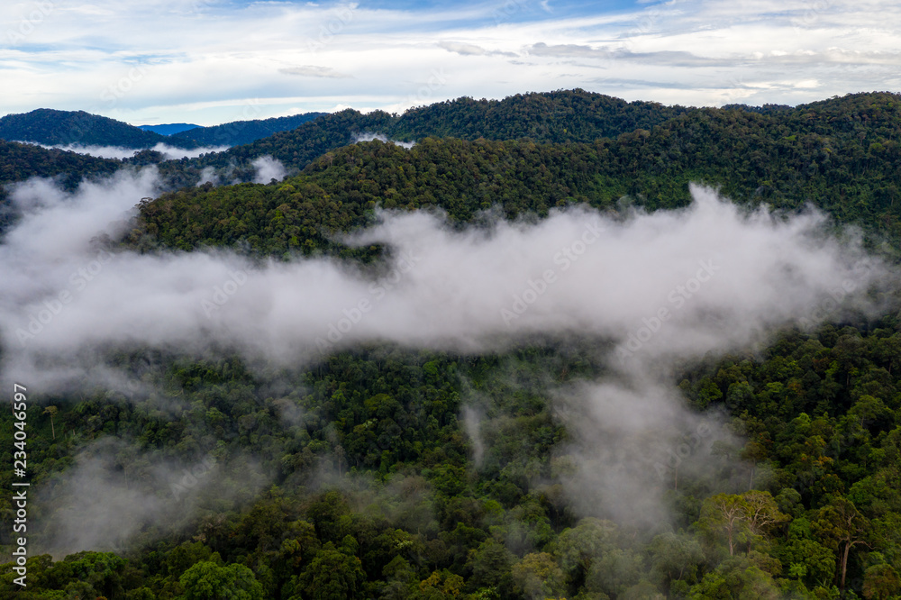 Mist and cloud forming over a dense, tropical rainforest in Thailand